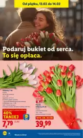 Lidl gazetka Strona 10