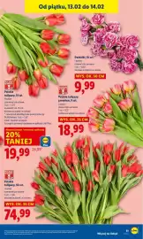 Lidl gazetka Strona 11