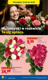 Lidl gazetka Strona 12