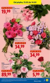 Lidl gazetka Strona 13
