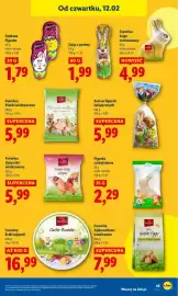 Lidl gazetka Strona 45