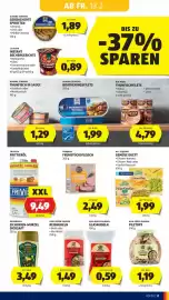 Hofer Flugblatt woche 7 Seite 13