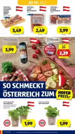 Hofer Flugblatt woche 7 Seite 14