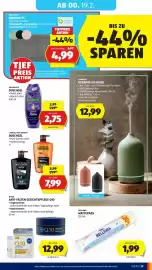 Hofer Flugblatt woche 7 Seite 33