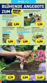 Hofer Flugblatt woche 7 Seite 36