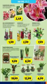 Hofer Flugblatt woche 7 Seite 37