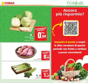 Volantino Conad Pagina 13