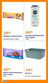 Action leták týden 7 Strana 24