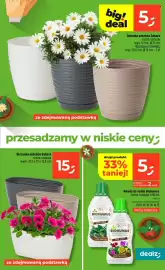 Dealz gazetka tydzień 7 Strona 29