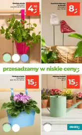 Dealz gazetka tydzień 7 Strona 31