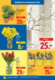Lidl tilbudsavis uge 8 Side 28
