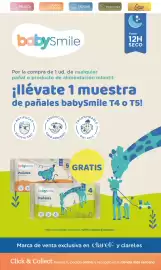 Folleto Clarel Página 8