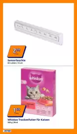 Action Flugblatt woche 7 Seite 21