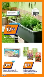 Action Prospekt woche 7 Seite 16