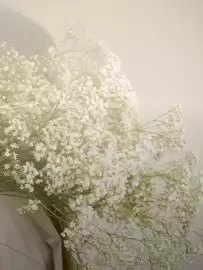 Bolia tilbudsavis Side 15