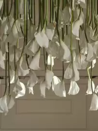 Bolia tilbudsavis Side 66