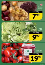 Løvbjerg tilbudsavis uge 7 Side 17