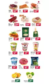 Qanto leták týden 7 Strana 2