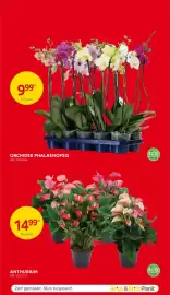 BricoPlanit folder Pagina 60