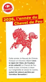 Catalogue Carrefour Contact page 10