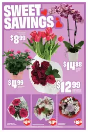FreshCo flyer week 7 Page 6