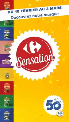 Catalogue Carrefour (valable jusqu'au 3-03)