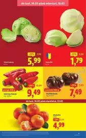 Catalog Lidl săptămâna 8 Pagină 3