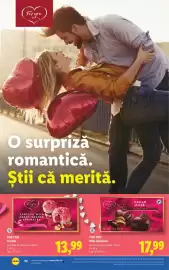 Catalog Lidl săptămâna 8 Pagină 32