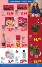 Catalog Lidl săptămâna 8 Pagină 33