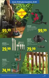 Catalog Lidl săptămâna 8 Pagină 37