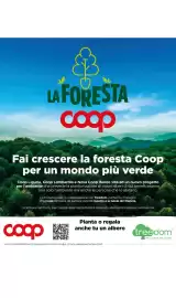 Volantino Ipercoop Pagina 17
