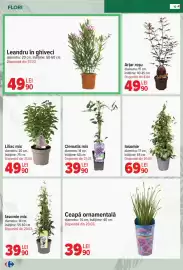 Catalog Carrefour Pagină 10