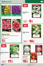 Catalog Carrefour Pagină 3