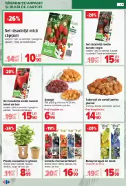 Catalog Carrefour Pagină 4