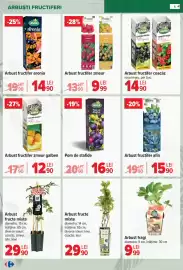 Catalog Carrefour Pagină 6