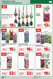 Catalog Carrefour Pagină 7
