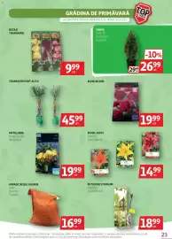 Catalog Auchan Pagină 23
