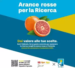 Volantino Oasi Pagina 31