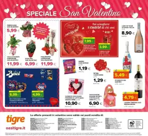 Volantino Tigre Pagina 20