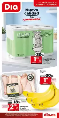 Catálogo Dia Supermercados (válido hasta el 17-02)