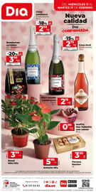 Folleto Dia Fresh semana 7 Página 12