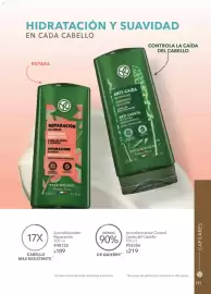 Catálogo Yves Rocher Página 113