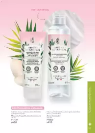 Catálogo Yves Rocher Página 23