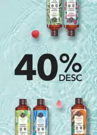 Catálogo Yves Rocher Página 51