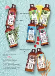 Catálogo Yves Rocher Página 52