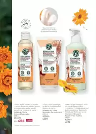Catálogo Yves Rocher Página 64