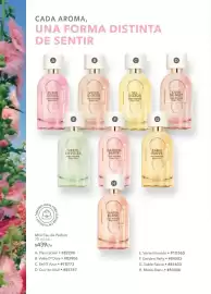 Catálogo Yves Rocher Página 80