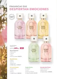 Catálogo Yves Rocher Página 82