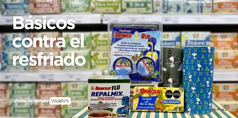 Catálogo Waldos (válido hasta 11-02)