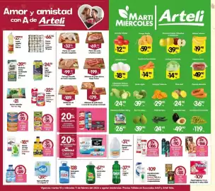 Folleto Arteli Página 1